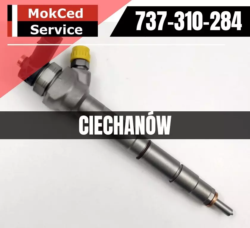 Regeneracja wtryskiwaczy Ciechanów